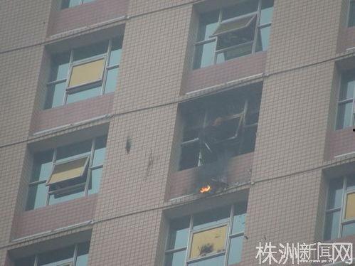 株洲跳楼事件最新爆料,惊人内幕曝光，真相令人震惊！